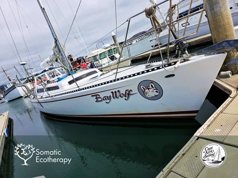 Bay Wolf Sailboat Ready in Sausalito