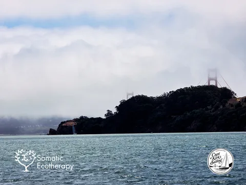 Golden Gate Towers Emerging Through the Fog