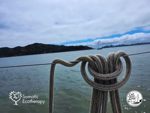 Sailing Line with Angel Island Beyond