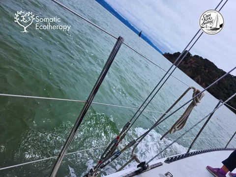 Sailing with the Wind Near Angel Island