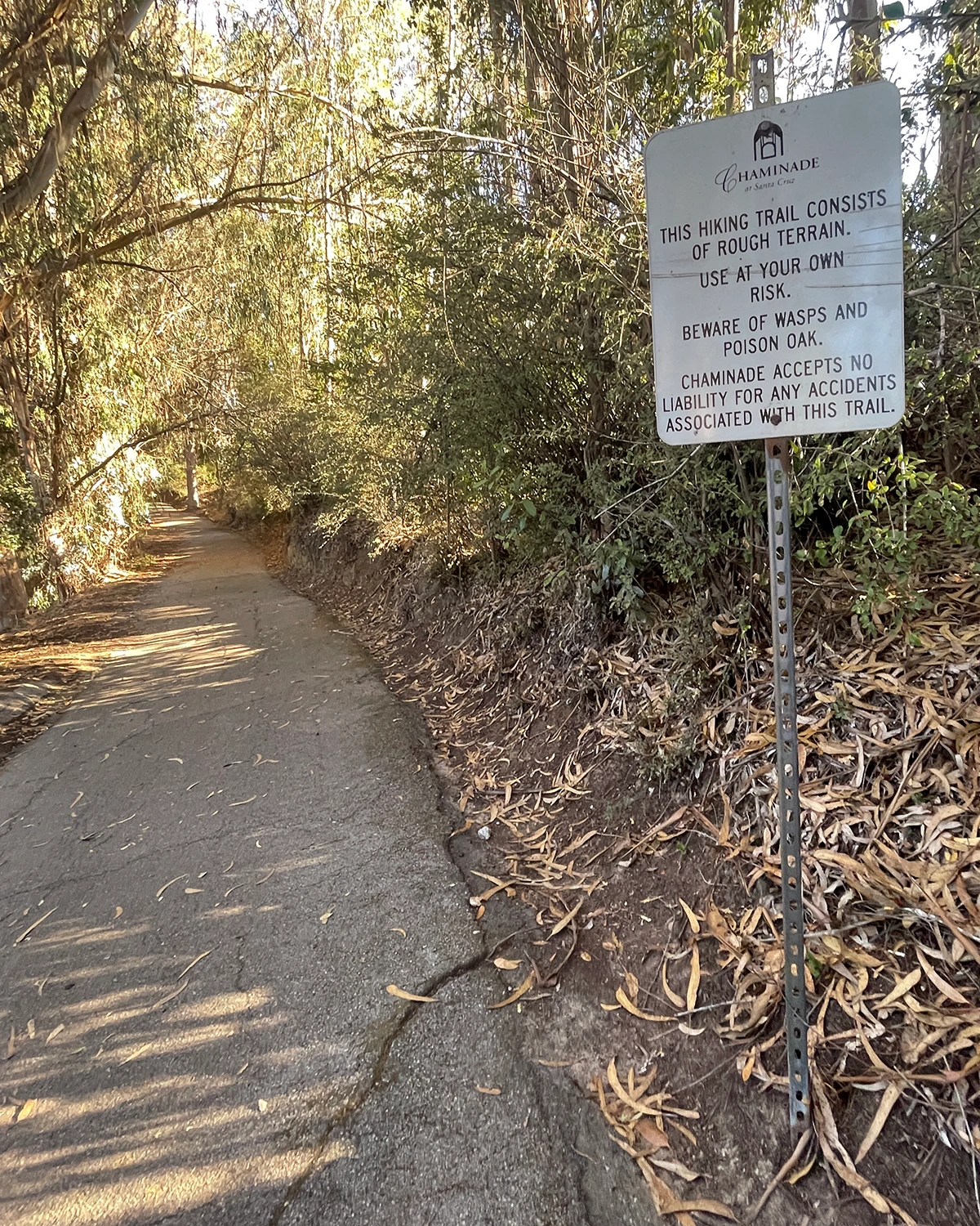 View of a certified forest therapy trail at Chaminade near Santa Cruz, CA
