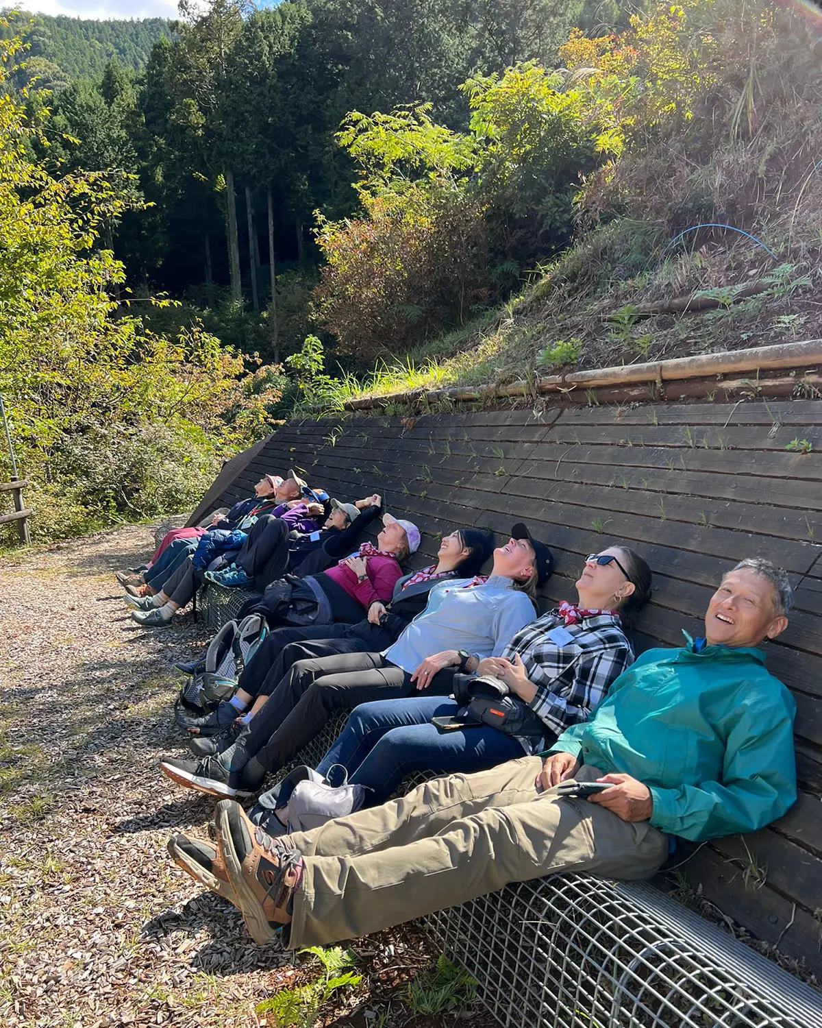 A group of people enjoying their time in the forest together