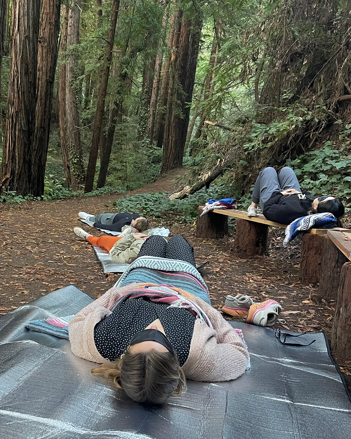 A small group of people on a forest trail, performing a forest therapy & bathing exercise