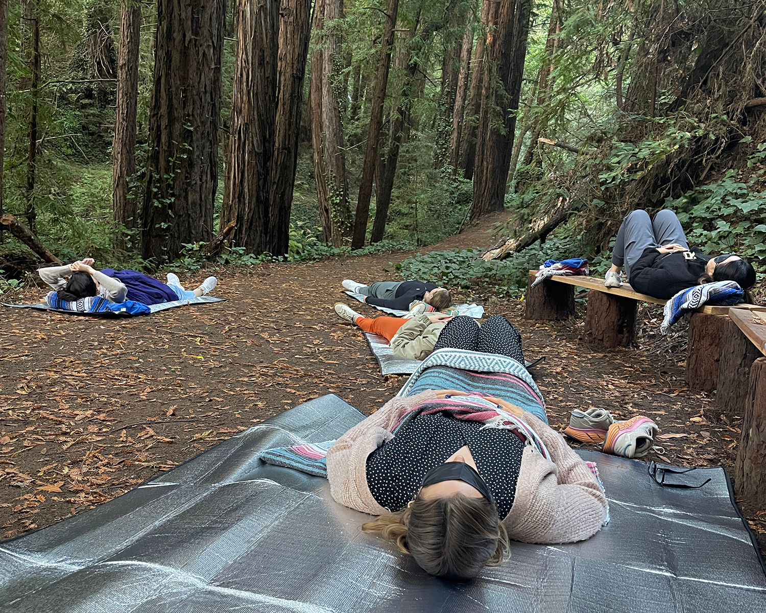 How It Pairs with Forest Therapy