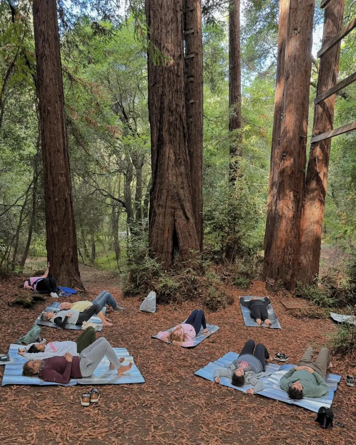<strong>Experiences</strong> That Restore Clarity, Connection, and Ease