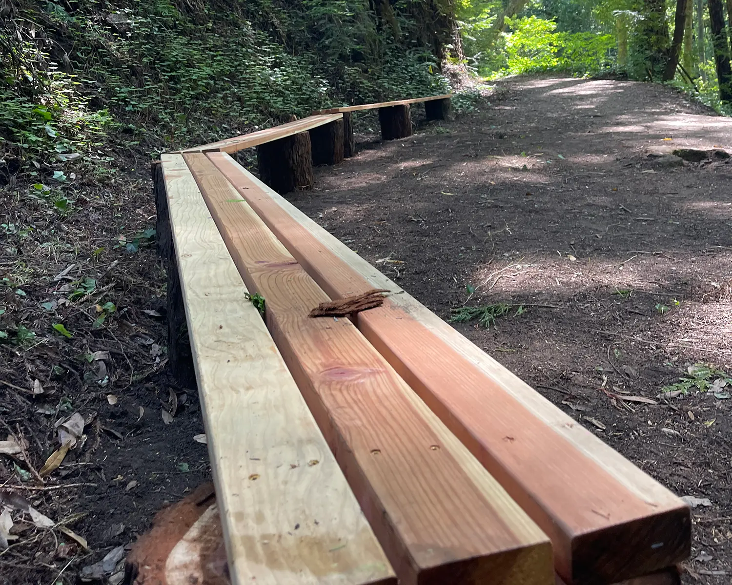 Restoring and certifying trails is one of our specialized services.