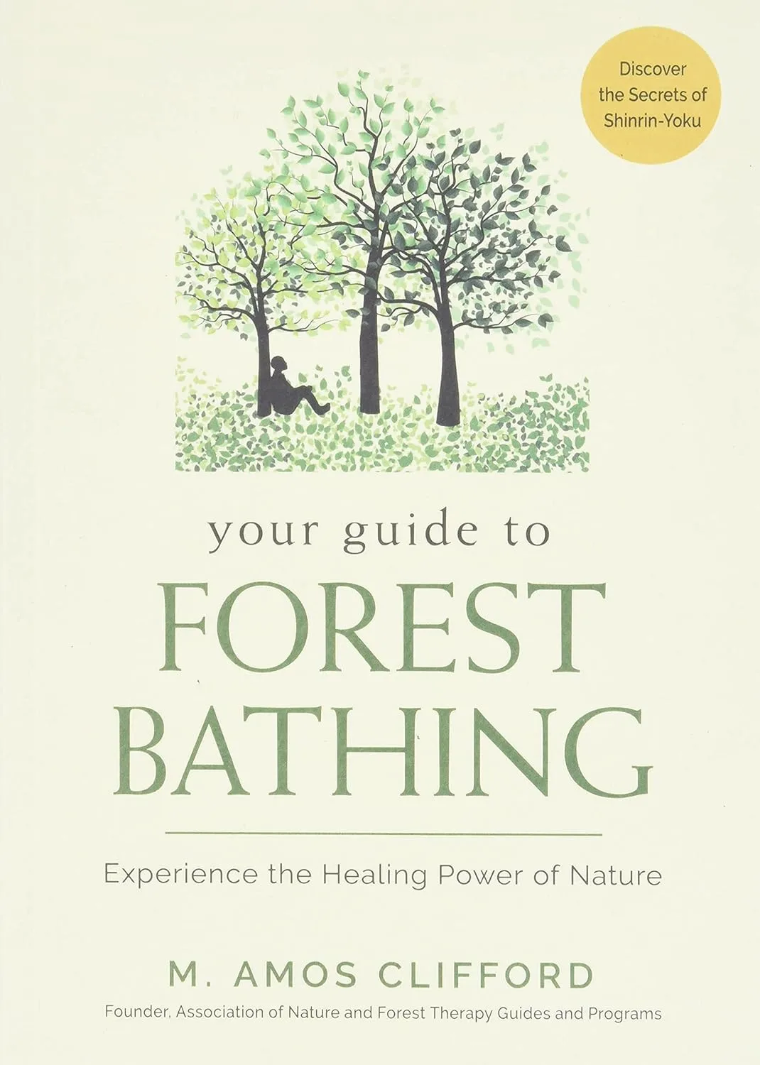 Your Guide to Forest Bathing: Experience the Healing Power of Nature