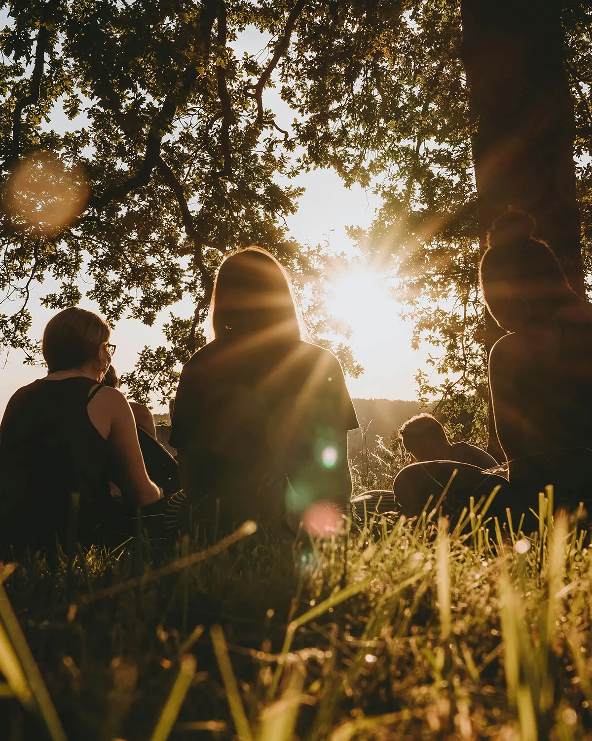 Group of friends in nature, talking to each other while sharing a sunset under a tree