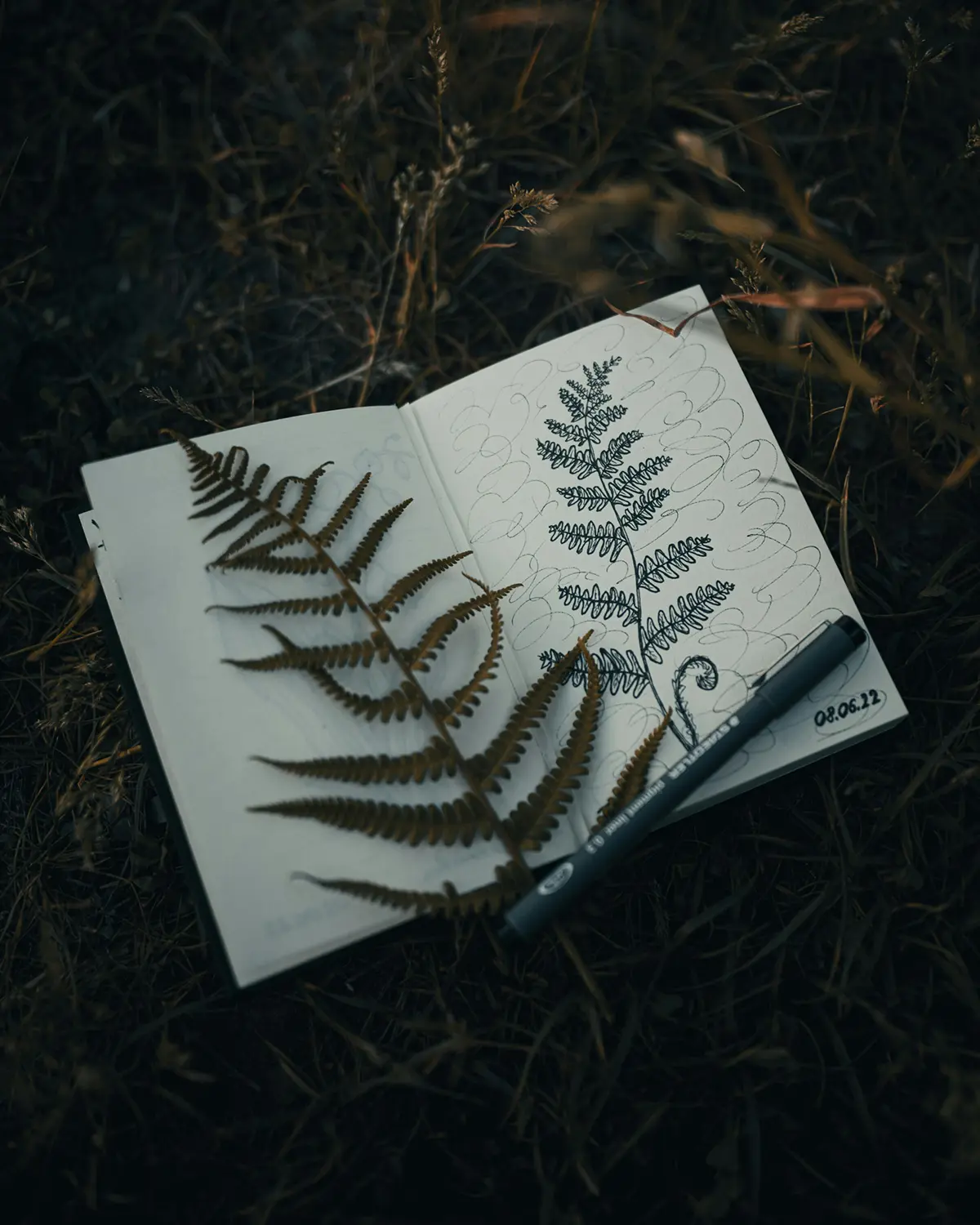 A nature journal session with a journal, fern, and in progress entry with a sketch of the fern