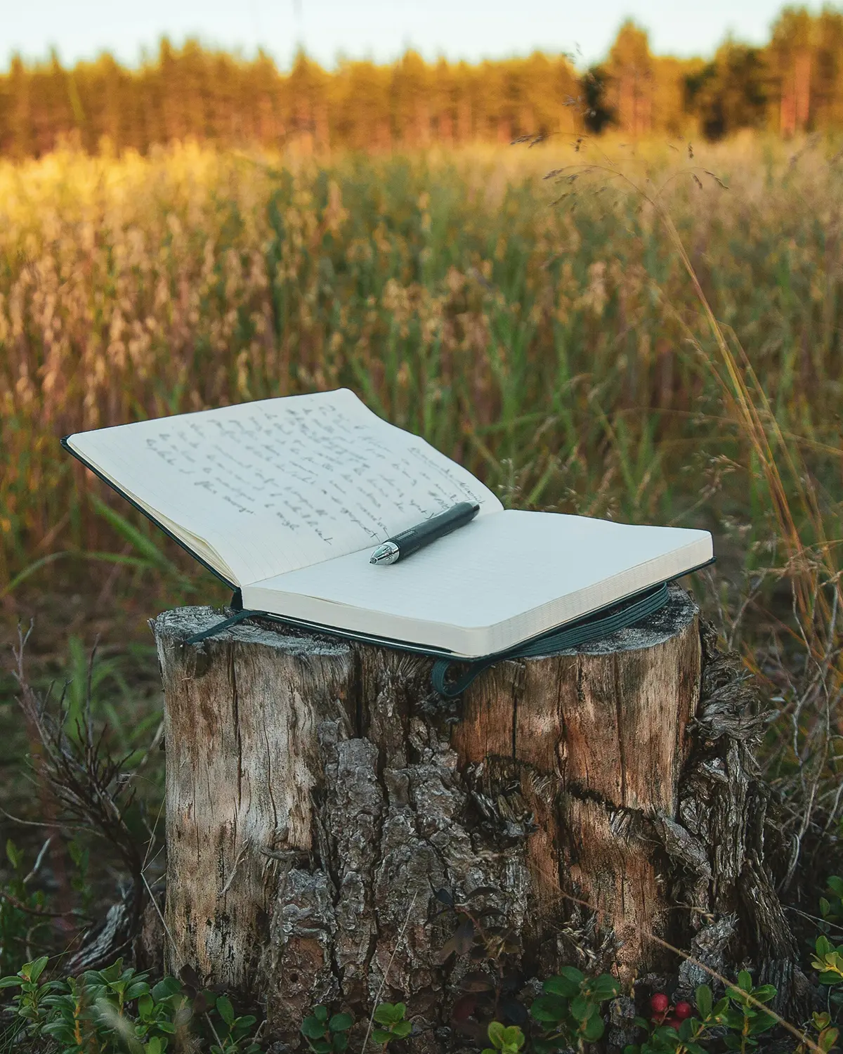 Measurable outcomes for the human ecosystem.