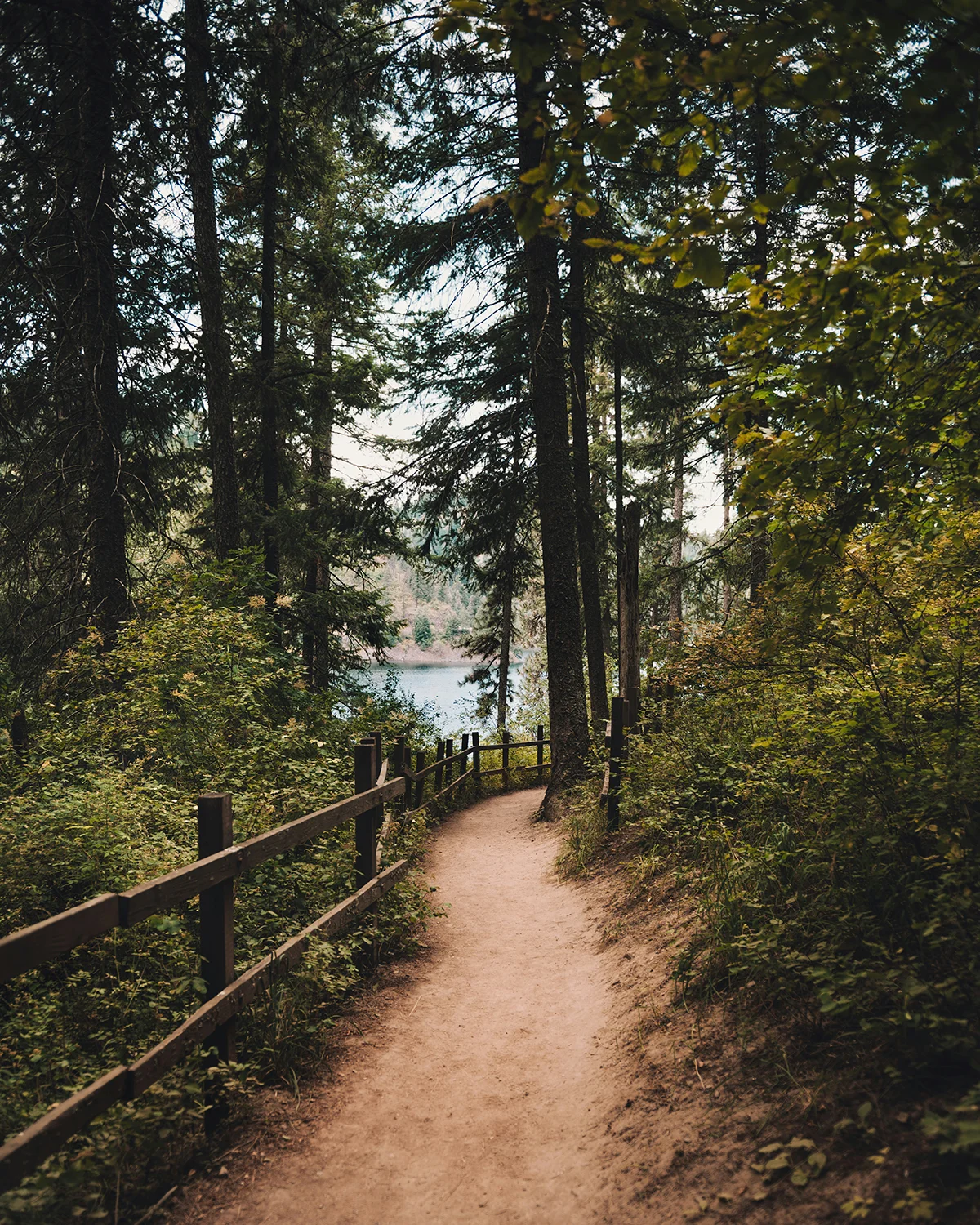 A small trail guided by a wooden rail, opening up to an open skyline and waterway view. 